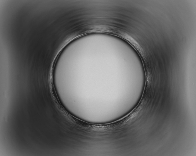 X0000094081378200711161558