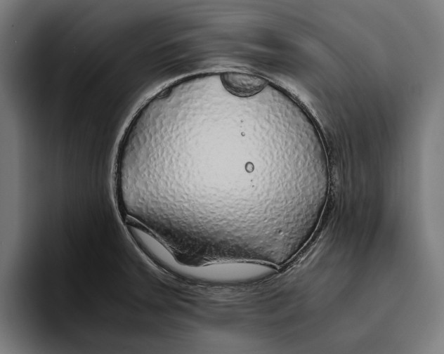 X0000094081379200711161558
