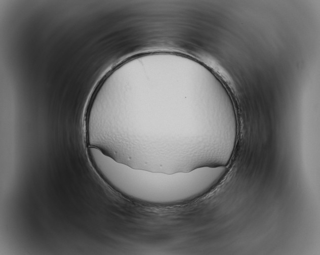 X0000094081380200711161558