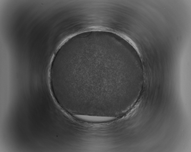 X0000094081381200711161558