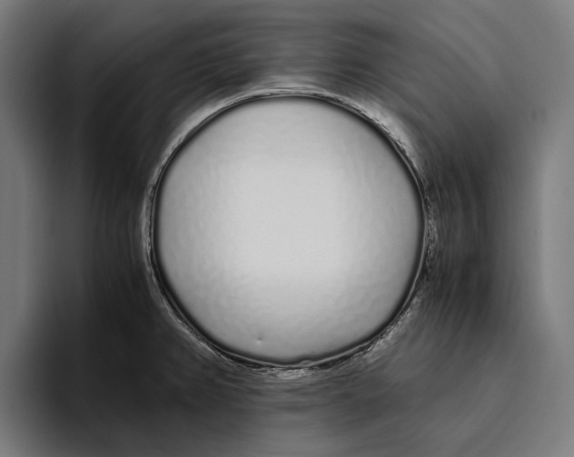 X0000094081382200711161558