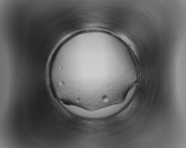 X0000094081384200711161558