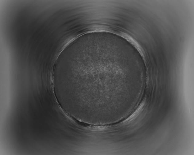 X0000094081385200711161558