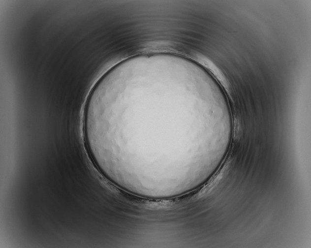 X0000094081386200711161558