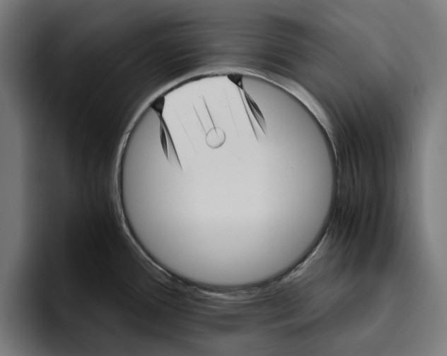 X0000094081388200711161558