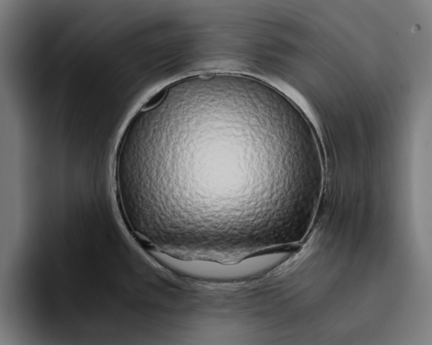 X0000094081389200711161558