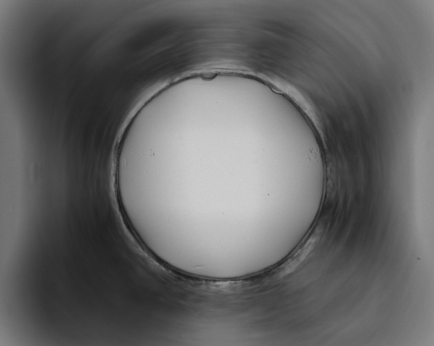 X0000094081390200711161558