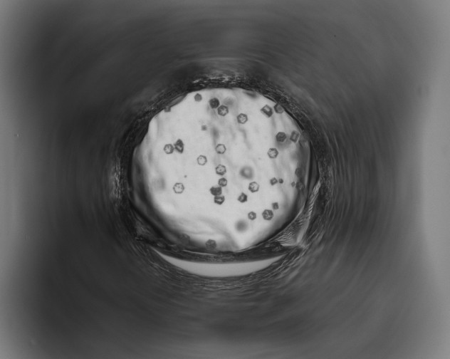 X0000094081394200711161558