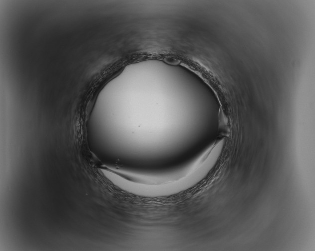 X0000094081398200711161558