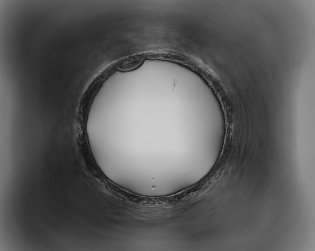 X0000094081400200711161558
