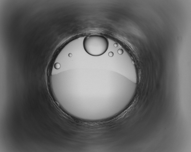X0000094081404200711161558