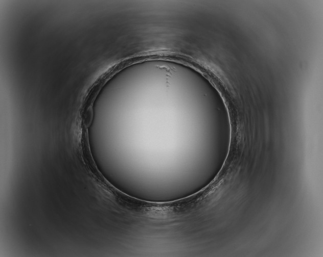 X0000094081406200711161558