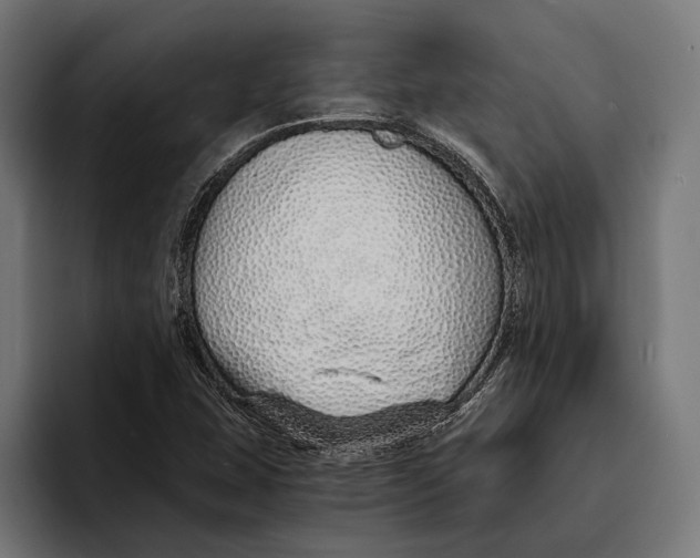 X0000094081407200711161558