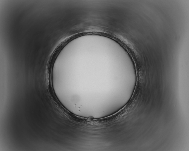 X0000094081408200711161558