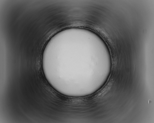 X0000094081409200711161558