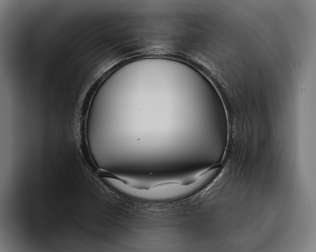 X0000094081410200711161558
