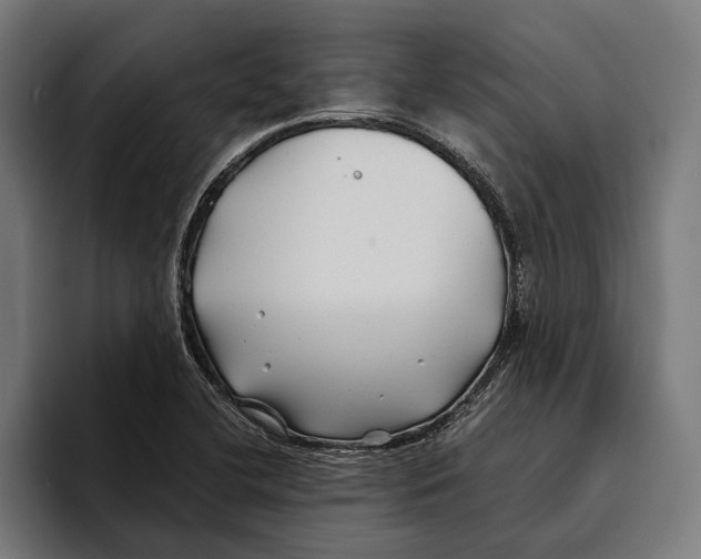 X0000094081412200711161558