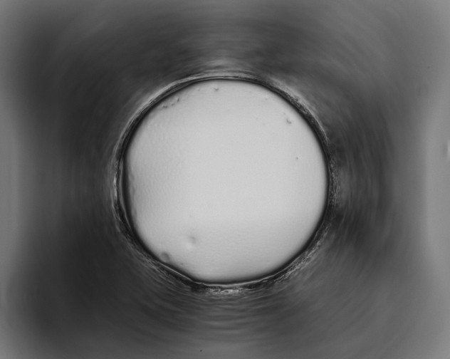 X0000094081415200711161558