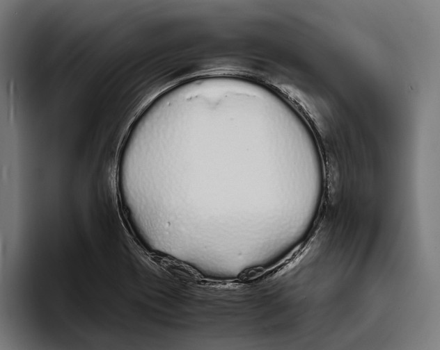 X0000094081417200711161558