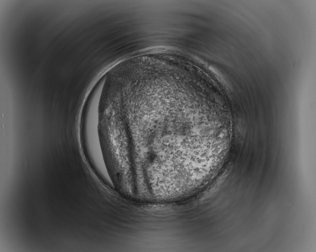 X0000094081418200711161558