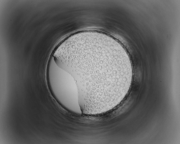 X0000094081420200711161558