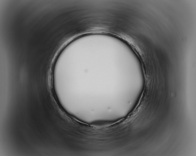 X0000094081421200711161558