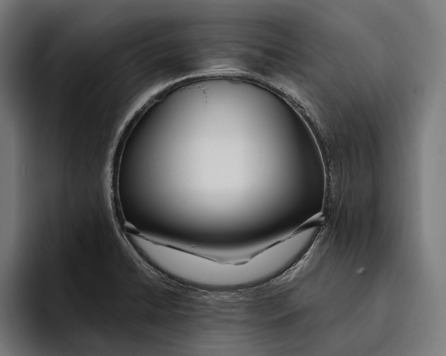 X0000094081422200711161558