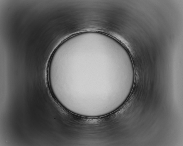 X0000094081423200711161558