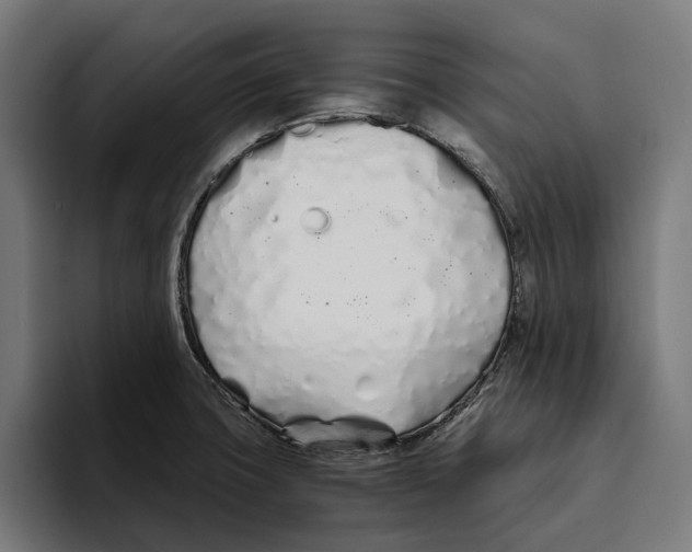 X0000094081427200711161558