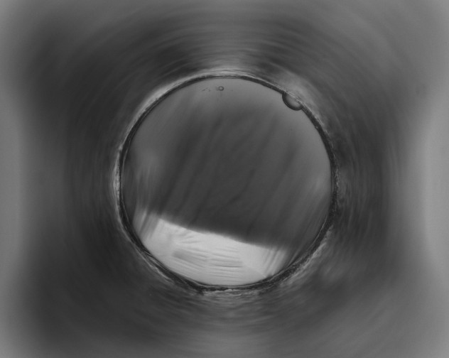 X0000094081428200711161558