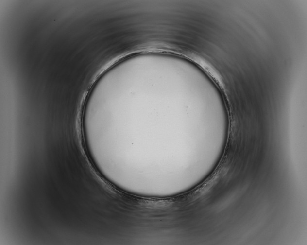X0000094081429200711161558