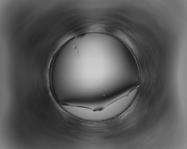 X0000094081434200711161558