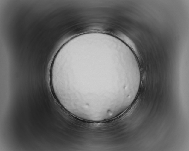 X0000094081435200711161558