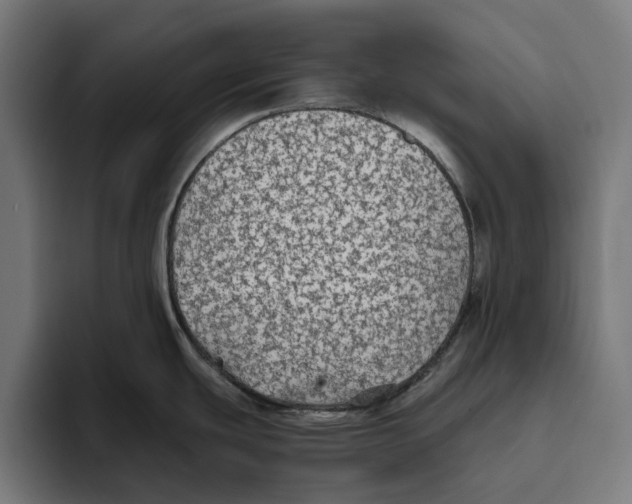 X0000094081439200711161558