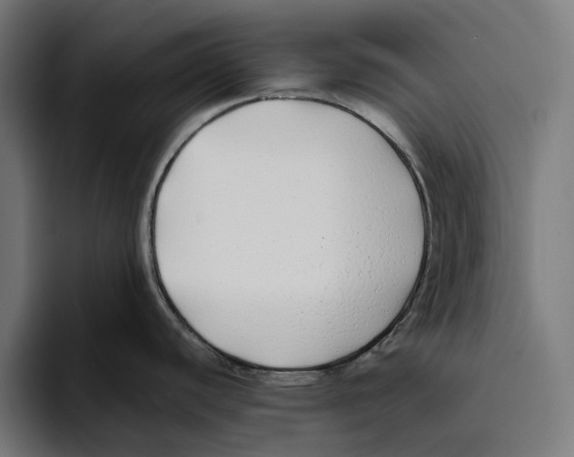 X0000094081440200711161558