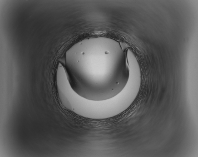 X0000094081441200711161558