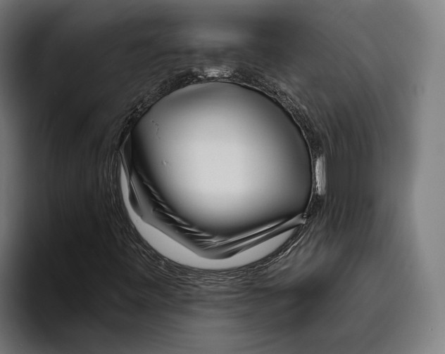 X0000094081443200711161558