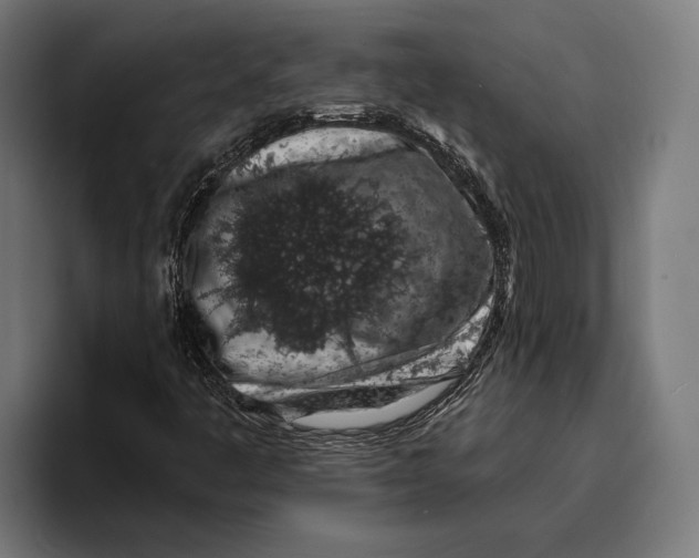X0000094081445200711161558