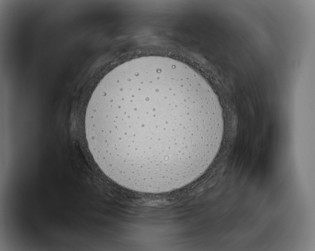 X0000094081446200711161558