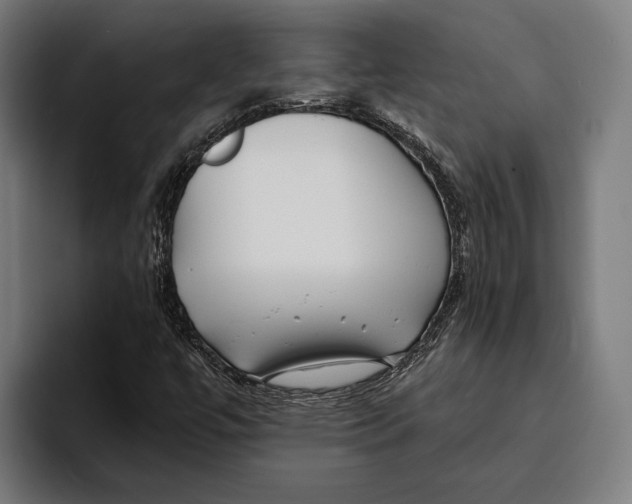 X0000094081447200711161558