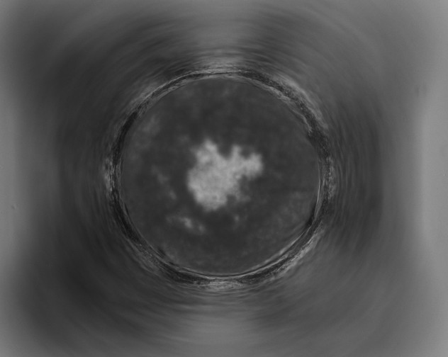 X0000094081449200711161558