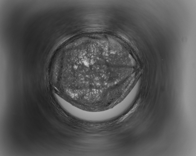 X0000094081453200711161558