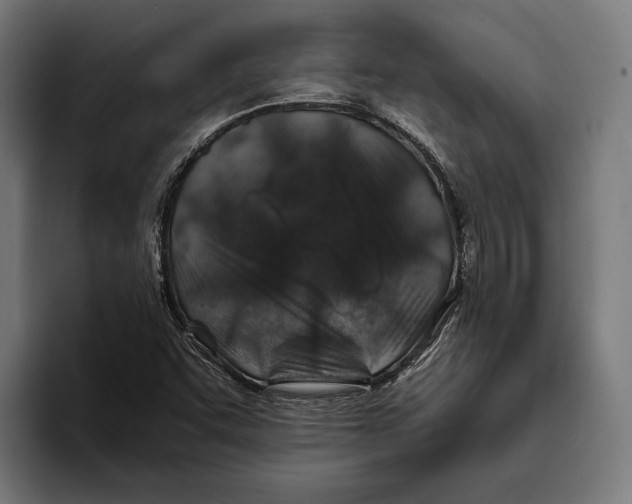 X0000094081455200711161557