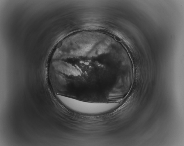 X0000094081459200711161557