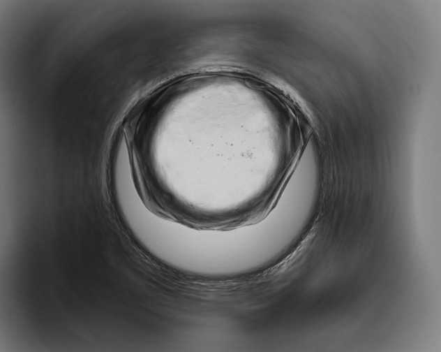 X0000094081461200711161557