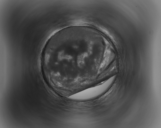 X0000094081463200711161557