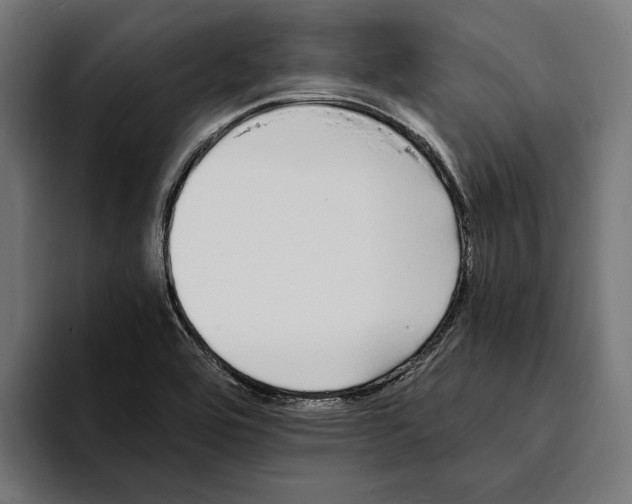 X0000094081464200711161557