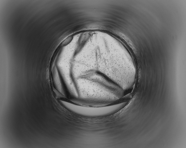 X0000094081465200711161557