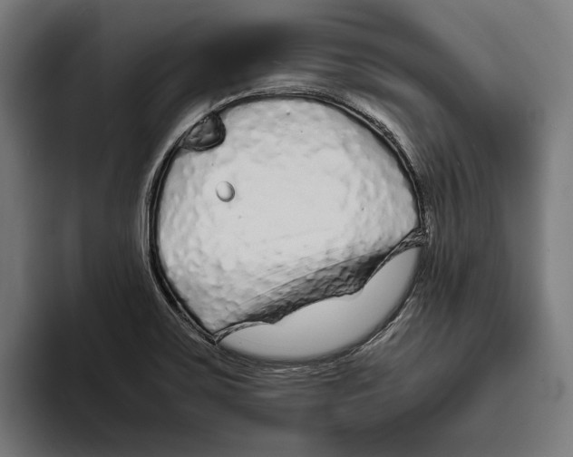 X0000094081467200711161557
