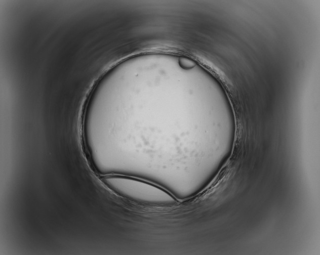 X0000094081471200711161557
